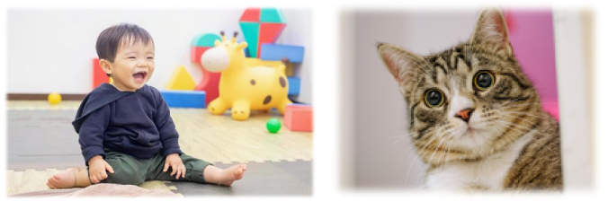 セーフティー機能(人感センサー)にて安全面を確保